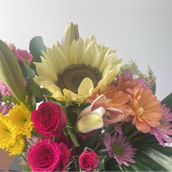 Posh Party Share show Free giveaways - Picture 8 of 9